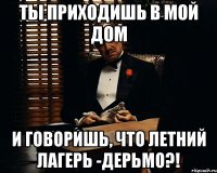 ты приходишь в мой дом и говоришь, что летний лагерь -дерьмо?!