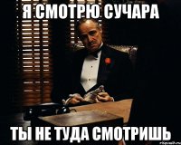 Я смотрю сучара ты не туда смотришь