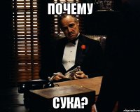 Почему Сука?