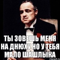 Ты зовешь меня на днюху Но у тебя мало шашлыка