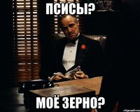 Псисы? Моё зерно?