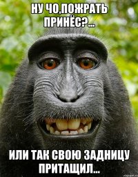 Ну чо,пожрать принёс?... Или так свою задницу притащил...