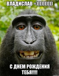 Владислав =)))))))))) С днем рождения тебя!!!!