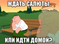 Ждать салюты.. Или идти домой?..