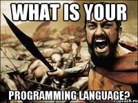 What is your programming language?