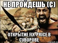 не пройдешь (С) открытие fix-price в суворове