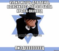 Купил мышь для паука, выяснилось что это была крыса-паукоед пиздееееееееец