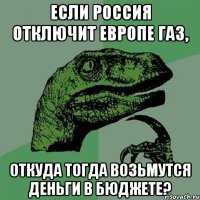 Если Россия отключит Европе газ, откуда тогда возьмутся деньги в бюджете?