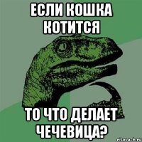 ЕСЛИ КОШКА КОТИТСЯ ТО ЧТО ДЕЛАЕТ ЧЕЧЕВИЦА?