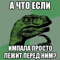 а что если импала просто лежит перед ним?