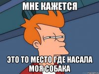 Мне кажется Это то место где насала моя Собака