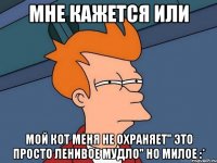 мне кажется или мой кот меня не охраняет" это просто ленивое мудло" но милое :*