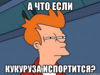 А что если кукуруза испортится?