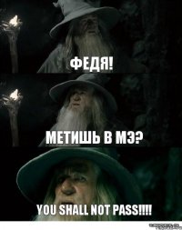 Федя! Метишь в МЭ? You shall not pass!!!!