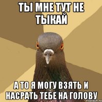 ты мне тут не тыкай а то я могу взять и насрать тебе на голову