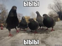 ыыы ыыы