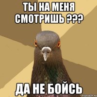 ты на меня смотришь ??? да не бойсь