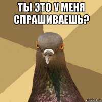 Ты это у меня спрашиваешь? 