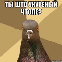 ты што укуреный чтоле? 