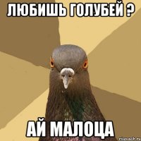 любишь голубей ? ай малоца