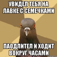 Увидел тебя на лавке с семечками паодлител и ходит вокруг часами