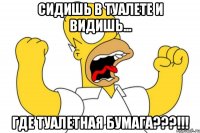 сидишь в туалете и видишь... ГДЕ ТУАЛЕТНАЯ БУМАГА???!!!