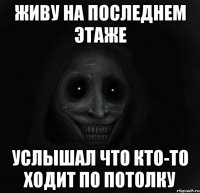 Живу на последнем этаже Услышал что кто-то ходит по потолку