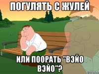 погулять с жулей или поорать "Вэйо Вэйо"?