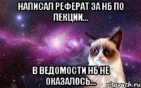 Написал реферат за нб по лекции... В ведомости нб не оказалось...