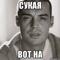 сукая вот на