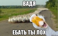 ВАДЯ ЕБАТЬ ТЫ ЛОХ