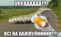 Урраааааа!!! Всі на канікулиииии!!!!