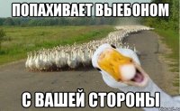 попахивает выебоном с вашей стороны