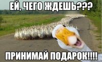 Ей, чего ждешь??? Принимай подарок!!!!