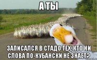 а ты записался в стадо тех, кто ни слова по-кубански не знает?