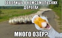 Говоришь в комсомольских дорогах Много озёр?