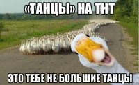 «ТАНЦЫ» на ТНТ Это тебе не большие танцы