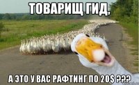 Товарищ гид, а это у вас рафтинг по 20$ ???