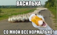 Василька со мной все нормально!