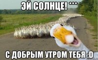 Эй солнце! *** С добрым утром тебя :D