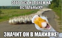 Этот гусь не похож на остальных!! Значит он в макияже!