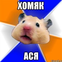 Хомяк АСЯ