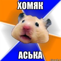 Хомяк АСЬКА