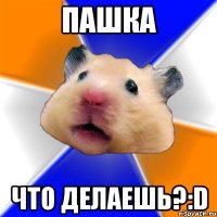 ПАШКА ЧТО ДЕЛАЕШЬ?:D