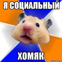 я социальный хомяк