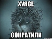 хуясе сократили