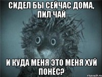 сидел бы сейчас дома, пил чай и куда меня это меня хуй понёс?