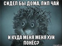 сидел бы дома, пил чай и куда меня меня хуй понёс?