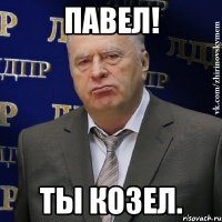 Павел! Ты козел.