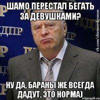 Шамо перестал бегать за девушками? Ну да, бараны же всегда дадут, это норма)